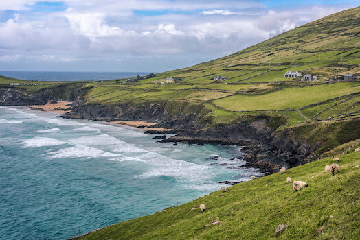 slea head falaise cote mouton dingle nature irlande monplanvoyage