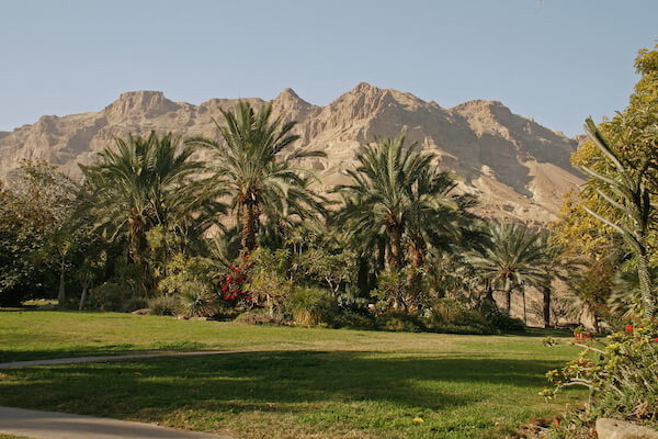 ein gedi kibboutz paysage jardin montagne israel monplanvoyage