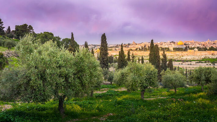 jerusalem mont oliviers paysage israel monplanvoyage