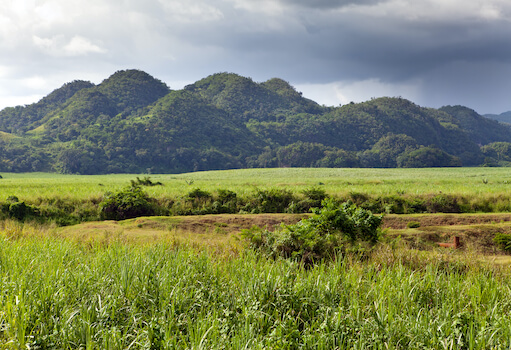 Jamaique montagne nature tropical caraibes monplanvoyage