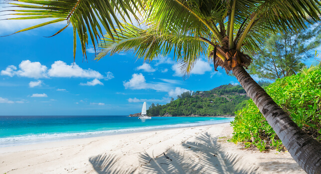 Jamaique plage sable blanc caraibes cocotier monplanvoyage