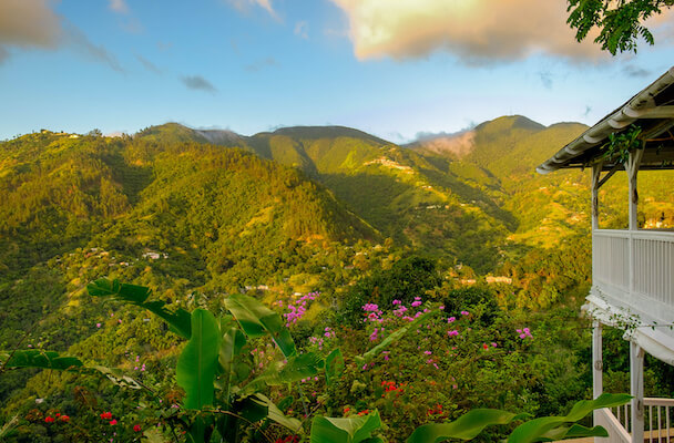 blue mountain randonnee nature jamaique caraibes monplanvoyage