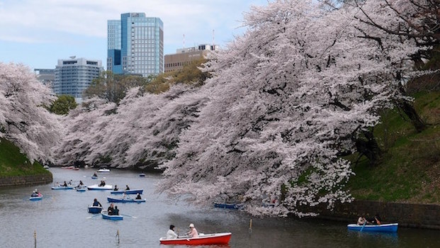 tokyo ueno parc japon monplanvoyage