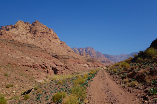 dana canyon nature jordanie monplanvoyage