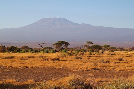 kenya savane elephant kilimandjaro mont afrique monplanvoyage