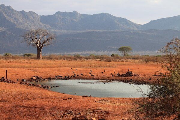 taita sanctuaire tsavo parc kenya afrique monplanvoyage 