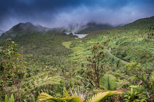 freshwater lac route panorama nature la dominique ile antilles caraibes monplanvoyage