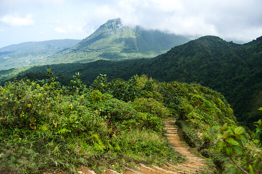 la dominique nature foret randonnee ile antilles caraibes monplanvoyage