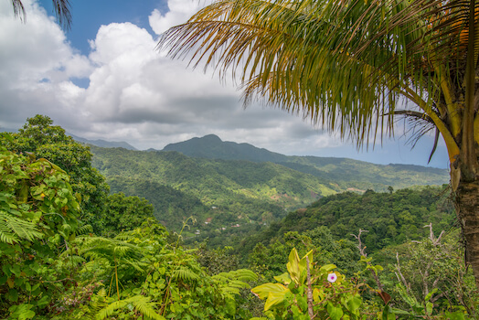 parc national nature foret randonnee ile antilles la dominique caraibes monplanvoyage