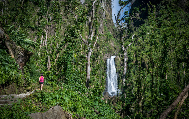 roseau vallee nature foret cascade randonnee ile la dominique antilles caraibes monplanvoyage