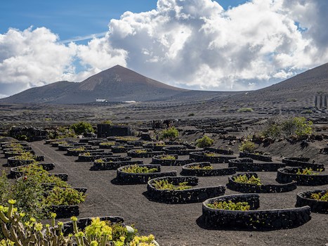 geria vignoble vin lanzarote canaries espagne