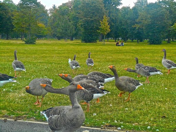 londres kensington parc angleterre royaume uni monplanvoyage