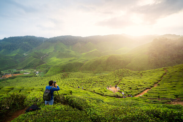 cameron highlands randonnee balade trek plantation the nature malaisie monplanvoyage