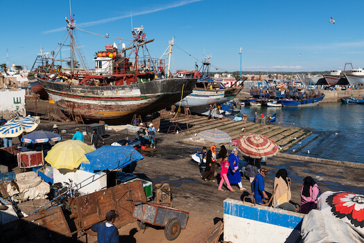 essaouira port poisson pecheur maroc monplanvoyage