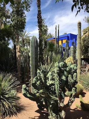 marrakech jardin majorelle nature maroc monplanvoyage