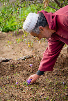 taliouine village culture safran maroc monplanvoyage