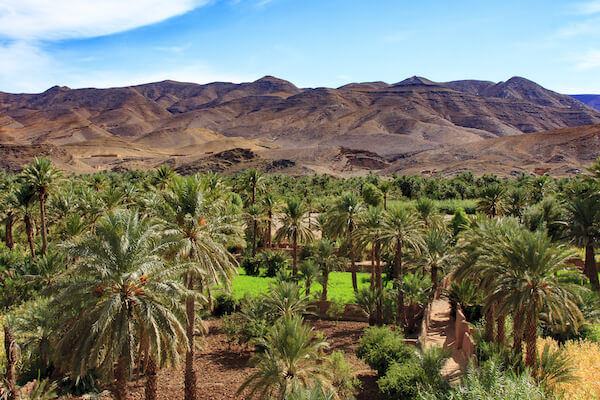 vallee draa palmeraie oasis nature maroc monplanvoyage