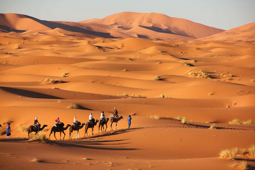 Merzouga desert dune dromadaire camp maroc agence monplanvoyage