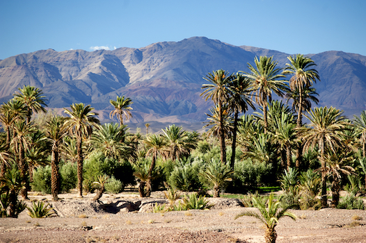 Skoura vallee montagne maroc agence monplanvoyage