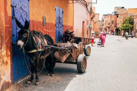 rue medina tradition marrakech maroc agence monplanvoyage