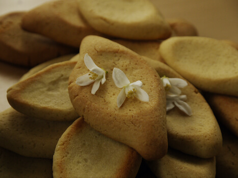 marseille navettes biscuits food france monplanvoyage