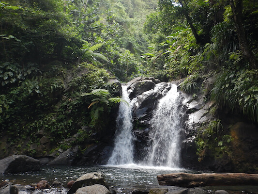 cascades didier nature martinique monplanvoyage