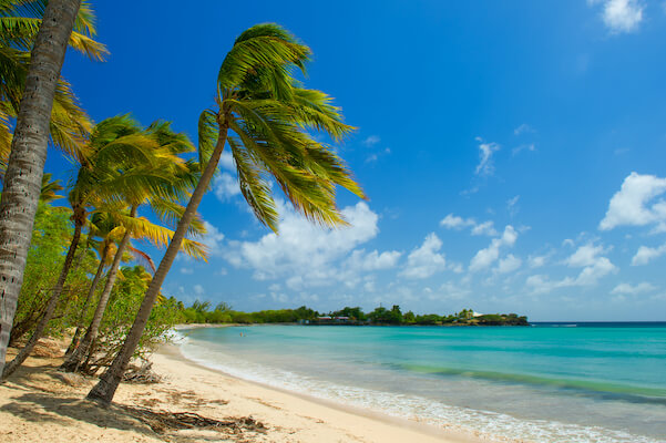 francois plage sable cocotier caraibes martinique monplanvoyage