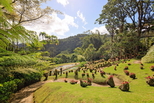 jardin balata fleur flore martinique monplanvoyage