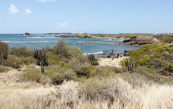 martinique caravelle reserve cote caraibes monplanvoyage