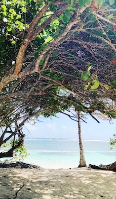 martinique plage sable caraibes mer monplanvoyage