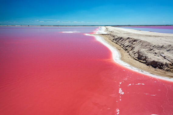 rio lagartos plage rose saline reserve nature yucatan mexique monplanvoyage