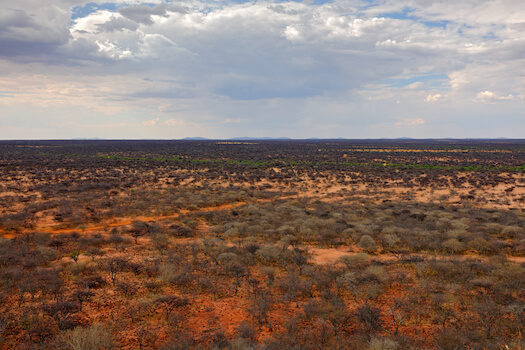 okonjima parc reserve nature namibie monplanvoyage