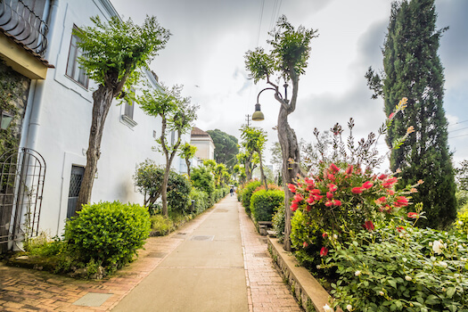 anacapri rue jardin capri ile italie monplanvoyage