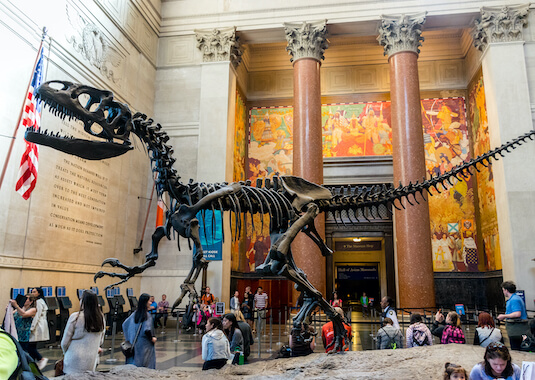 musee histoire naturelle new york etats unis monplanvoyage