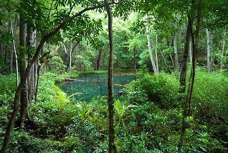 nouvelle caledonie lifou joyaux trou eau monplanvoyage