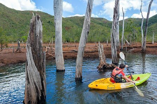 nouvelle caledonie parc riviere bleue kayak monplanvoyage
