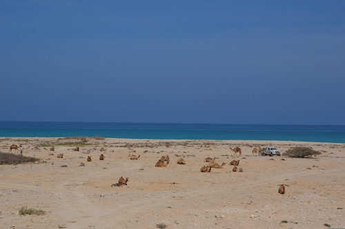 oman plage monplanvoyage