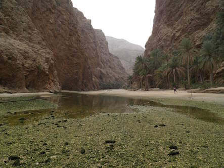 wadi oman monplanvoyage