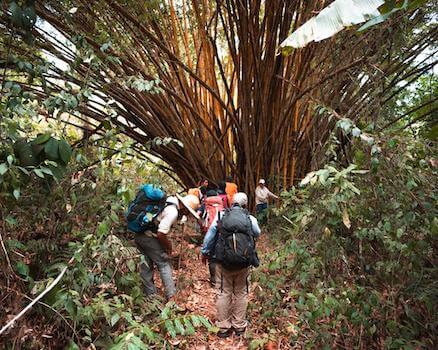 panama foret darien communaute monplanvoyage