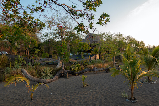 venao plage sable coucher de soleil nature panama monplanvoyage