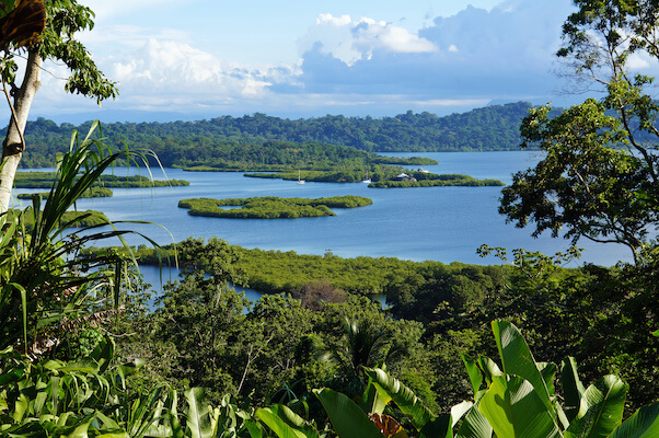 panama nature foret tropical flore monplanvoyage