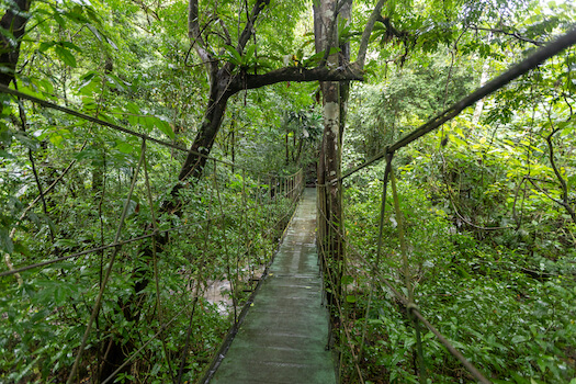 valle anton nature pont randonnee balade panama monplanvoyage