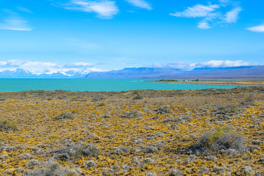 patagonie lac argentino steppe argentine monplanvoyage