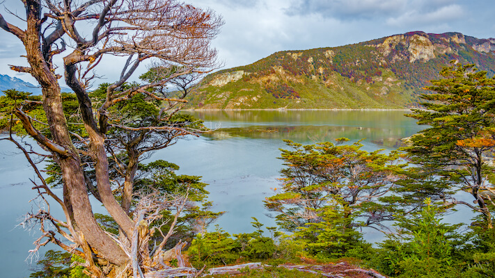 terre de feu parc baie ensenada argentine monplanvoyage