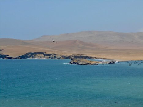 paracas reserve cote mer perou monplanvoyage