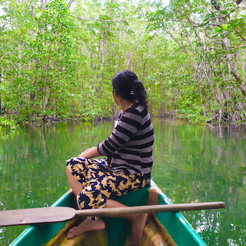 palawan ile mangrove bateau nature bateau philippines archipel monplanvoyage