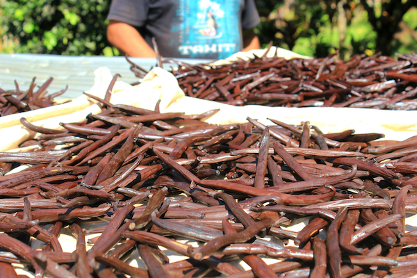 tahaa vanille culture tradition ile polynesie monplanvoyage