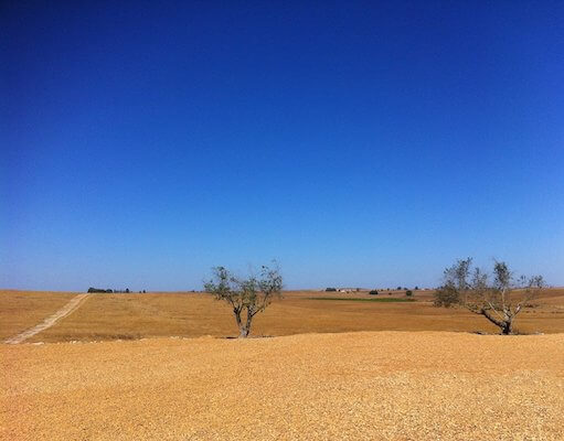 alentejo castro verde plaine desert portugal monplanvoyage