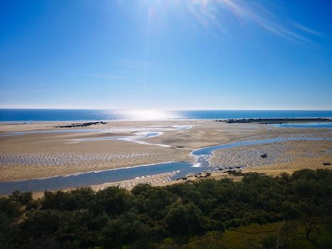 faro ria formosa lagune parc oiseau portugal monplanvoyage