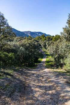 alpilles parc randonnee balade nature provence france monplanvoyage